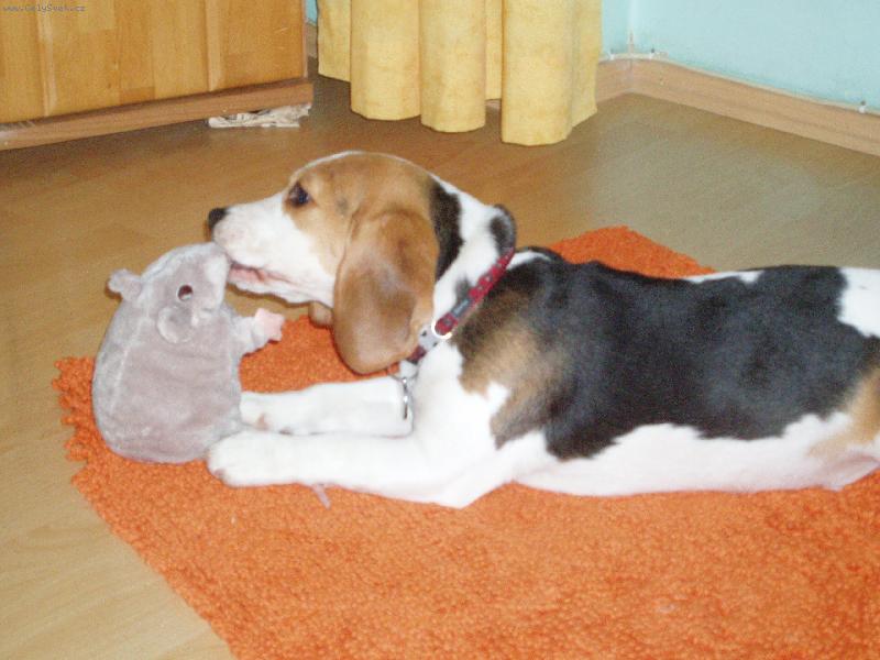 Foto: Max